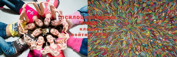 кристаллы Мегион